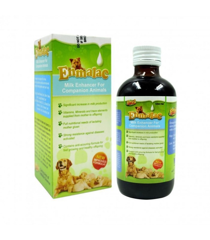 Vitamins for shop pregnant dog philippines